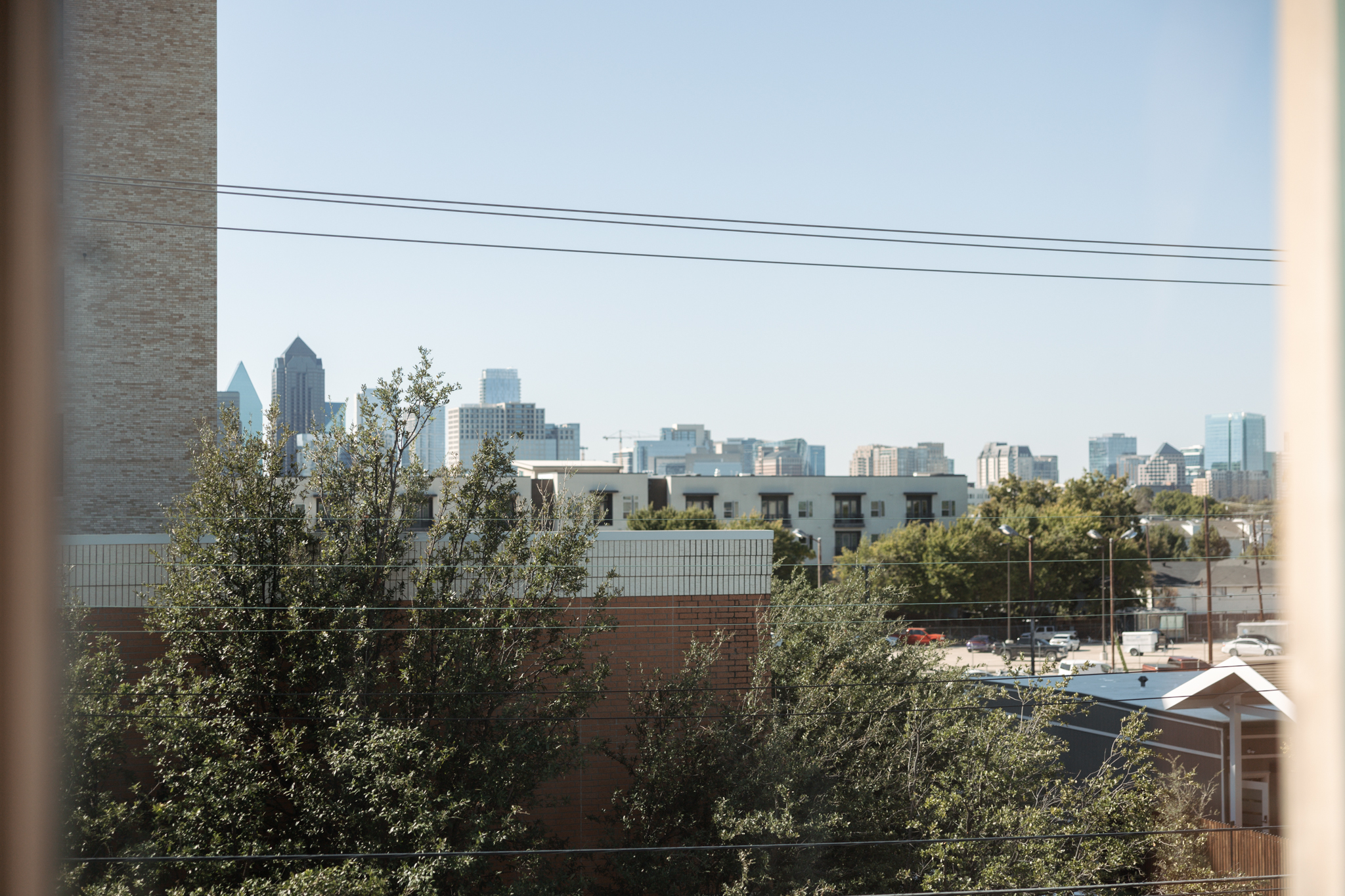 Skyline framed by lush greenery